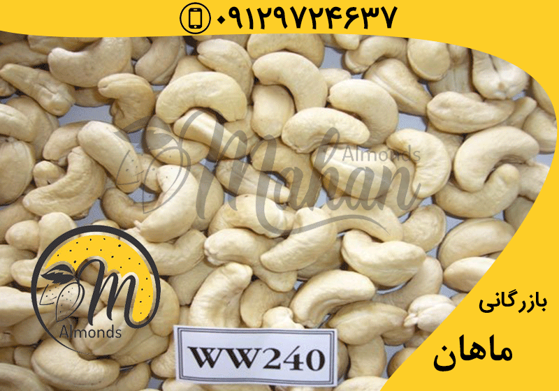 قیمت بادام بروز بادام هندی 240